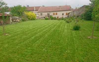Votre jardinier paysagiste à Neuves-Maisons