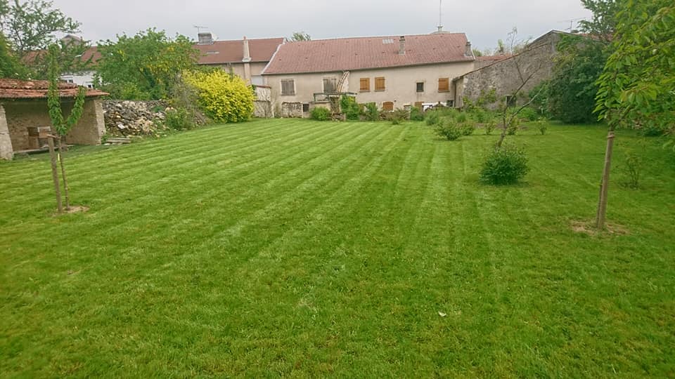 garden-3345970_1920