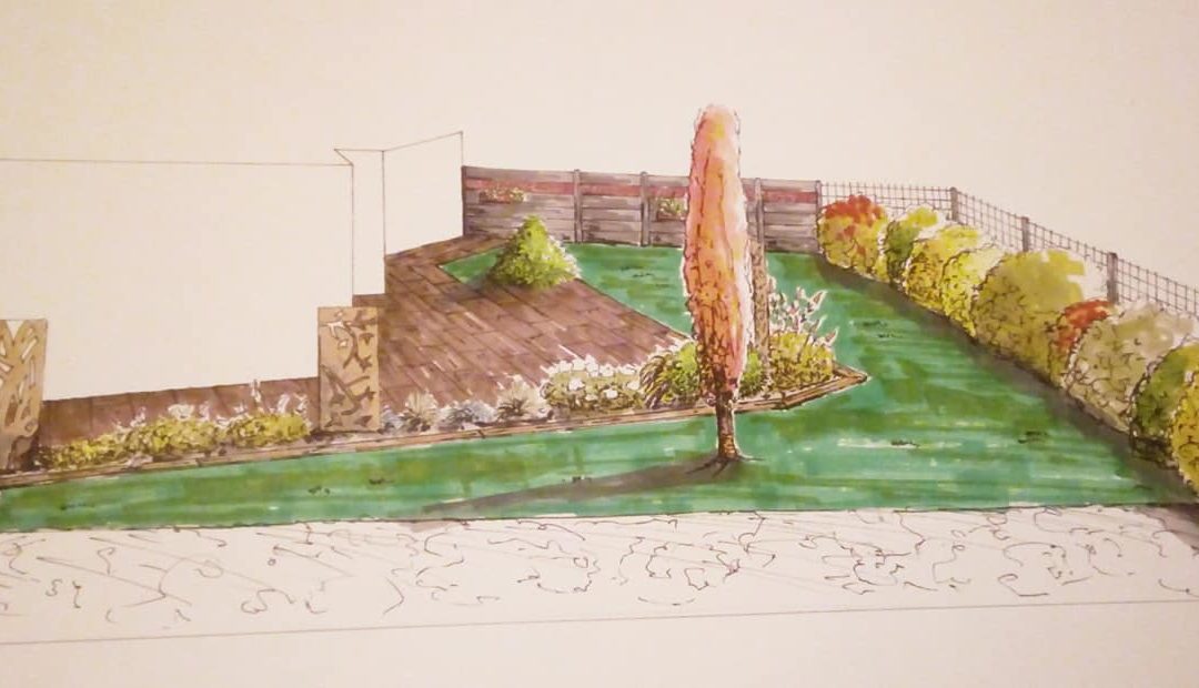 Aménagement de jardin à Nancy : un changement drastique !