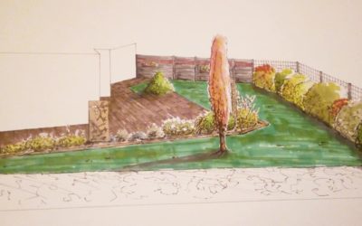 Aménagement de jardin à Nancy : un changement drastique !