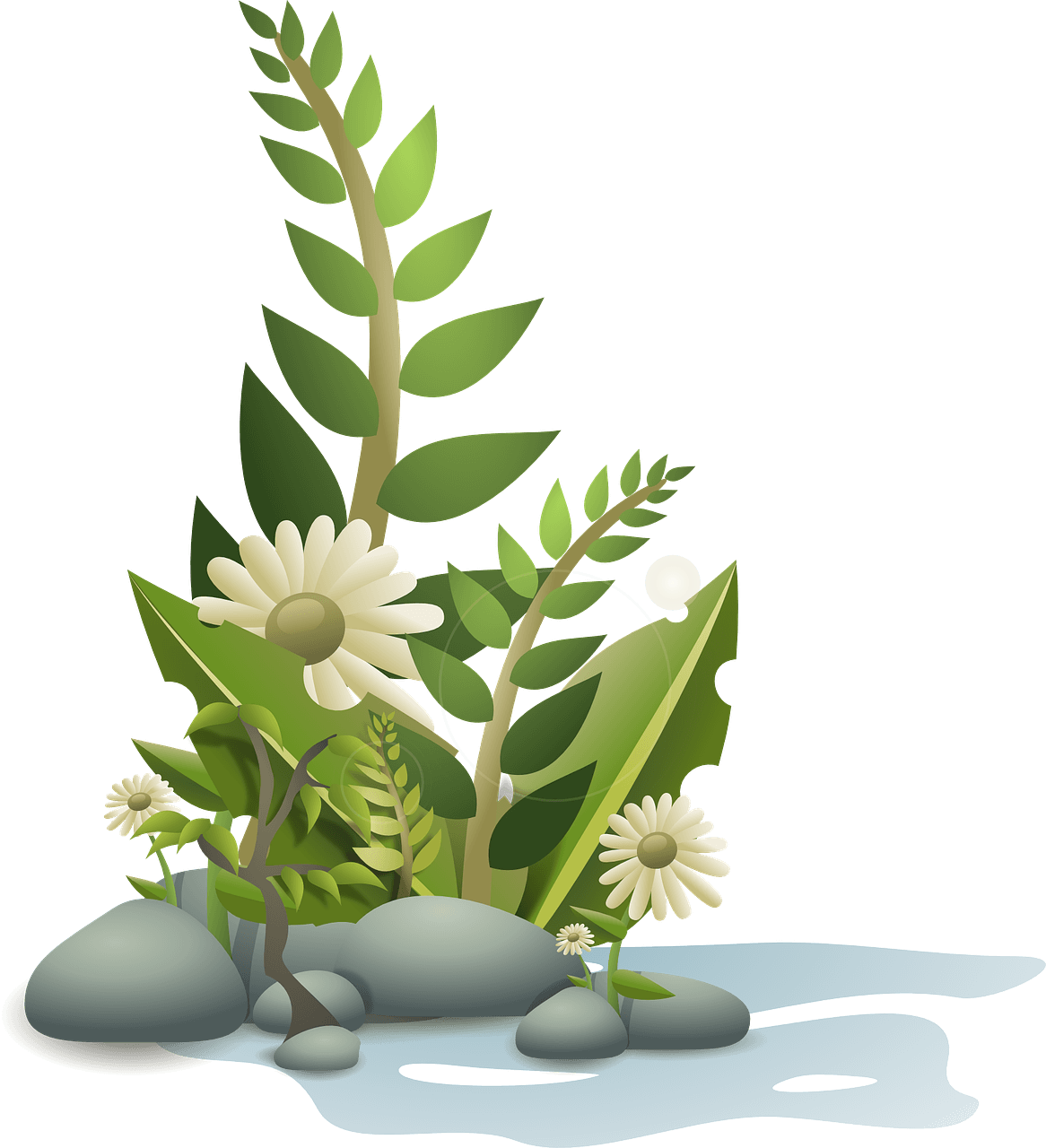 plantes