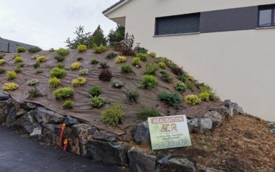 Aménagement paysager à Nancy : votre jardin resplendissant !