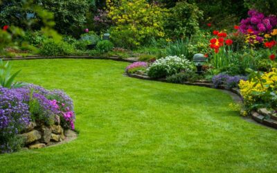 Aménagement extérieur à Ludres : JCR Paysage, l’art de sublimer vos espaces verts