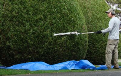 Entretien des espaces verts à Ludres : confiez vos jardins à JCR Paysage